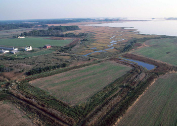 U.S. Department of Agriculture – Natural Resources Conservation Service Wetland Reserve Program (WRP) Easement Right-of-Way Surveys Maryland – Statewide